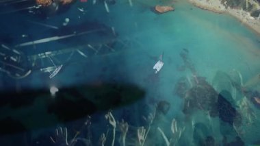 Müzik etkinliği kalabalığı spot ışıkları altında el kaldırıyor, turkuaz suları kayıklarla kaplıyor. Kalabalık, festival, canlı, panoramik, sosyal, enerjik, manzaralı