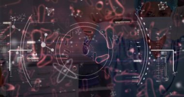 Çift ırklı doktor yerine veri işleme ve virüs hücrelerinin görüntüsü. küresel bilim, veri işleme ve dijital arayüz kavramı dijital olarak oluşturulmuş görüntü.