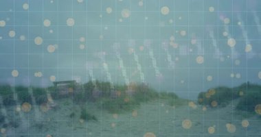 Yüzen madeni para simgelerinin yer aldığı kumlu kumul yolu üzerinde görselleştirilen finansal dijital şebeke. Manzara, çevre, manzara, teknoloji, dijital, finans, doğa