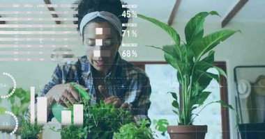 Olgun bir kadın işyerindeki saksı bitkilerini suluyor, bar grafiklerinin grafiklerini örtüyor. Botanik, çevre, büyüme, üretkenlik, çevre dostu, dijital, modern