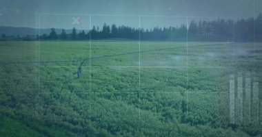 Düz tasarım veri grafikleri ve grafikleri eşleştirerek, ekin alanı üzerinde dönen merkez dönüm kolu. Tarım, hassas tarım, veri görselleştirme, sürdürülebilir, modern, dijital, kırsal