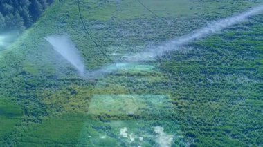 Mobil sulama kulesi yeşil ekin sıralarının üzerine ince su sisi püskürtüyor. Tarım sektörü, sürdürülebilirlik, kesinlik tarım, verimlilik, kırsal, çevre dostu, modern tarım