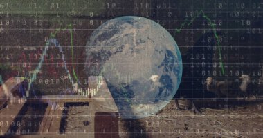 Veri işleme ve küre üzerinde tavukların görüntüsü. küresel iş ve dijital arayüz kavramı dijital olarak oluşturulmuş görüntü.