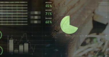 Çekirge ağaç kabuğuna tüneyerek turta grafiklerini gösteren dijital örtüyü gösterir. Doğa, teknoloji, analitik, görselleştirme, fütüristik, biyolojik, çevre