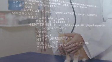 Muayene odasında kızıl kediyi inceleyen veteriner kod kaplamalı veteriner teknisyeni çiziyor. Hayvan, tıbbi, tanı, dijital, klinik, profesyonel, teknoloji