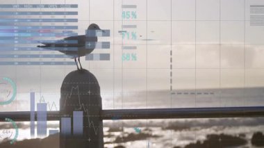 Harita bilgileri olay yerinde sürüklenirken martı, limana bakan balinanın tepesine tünemiş. Sahil, manzara, deniz, siluet, kentsel, analitik, veri görselleştirmesi