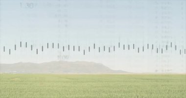 Yeşil ekin alanı üzerinde yüzen dikey ses eşitleyici çubuklar düz tasarımda ses verilerini görselleştiriyor. Doğa, teknoloji, multimedya, veri görselleştirme, kırsal, manzaralı, dijital arayüz