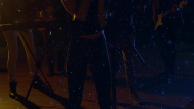 Kadın şarkıcı, canlı kar parçacıkları ve spot ışıklarıyla müzik sahnesinde mikrofona şarkı söylüyor. Konser, performans, gece hayatı, sahne, eğlence, yaratıcılık, canlı