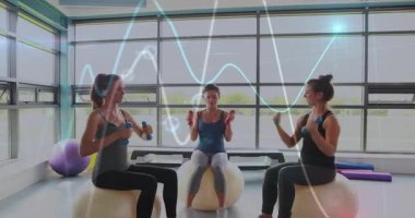 Animasyon veri dalga formlarını gösteren üç kadın spor salonundaki egzersiz toplarının üzerinde dambılları kaldırıyor. Etkinlik giyimi, fitness, modern, sağlık, eğitim, sağlık, takım çalışması