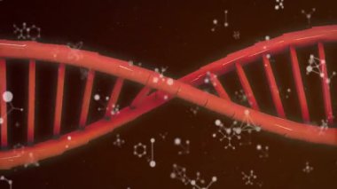 Koyu kahverengi arkaplan üzerinde beyaz moleküler simgelerin yüzdüğü kırmızı 3D DNA sarmalı görselleştiriliyor. Moleküler biyoloji, bilimsel illüstrasyon, nano ölçek, araştırma, yenilik, veri görselleştirme, eğitim