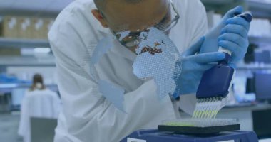 Bilim adamları yeşil sıvıyı 96 kuyuya dağıtıp biyoteknoloji laboratuarında dijital küre örtüsü gösteriyor. Araştırma, biyoteknoloji, kesinlik, yenilik, işbirliği, bilim, teknoloji