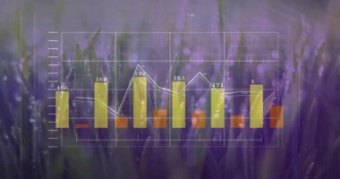 Veri görselleştirmesi sahnede süzülüyor, sarı çizgiler ve çimenleri kaplayan beyaz trend çizgileri. Analizler, gösterge paneli, teknoloji, doğa, yenilik, fütüristik, soyut