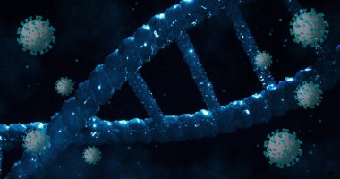Covid-19 cells floating over dna structure spinning against blue background. medical research and science technology concept