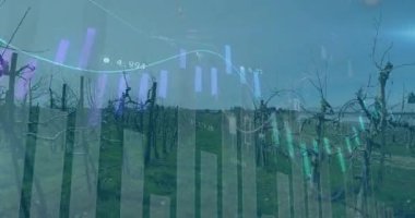 Finansal tabloların, düz tasarımda çimenli yol boyunca uzanan budanmış sarmaşıkların üzerine yerleştirilmesi. Tarım, analitik, veri görselleştirme, doğa, üretkenlik, teknoloji, manzara