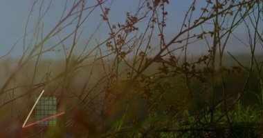 Kırsal alanda solmuş çizelge, yeşil ve turuncu blokları ve çizgi grafiklerini gösteriyor. Veri görselleştirme, analitik, tarım, ekolojik, modern, yenilenebilir, sürdürülebilir