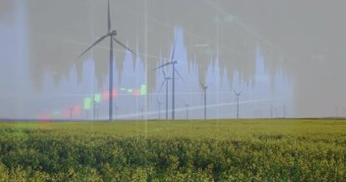 Kanola alanından yükselen rüzgar türbinleri düz dizaynlı finans şamdanları yayıyor. Yenilenebilir enerji, tarım, sürdürülebilirlik, veri görselleştirme, çevre dostu, dalgalanmalar, modern teknoloji