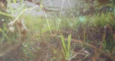 Çimen bıçakları düz dizayn güneş ışığı alan alanda şeffaf dijital grafik örtülerini gösteriyor. Doğa, teknoloji, ekoloji, yenilik, açık hava, sürdürülebilirlik, dijital