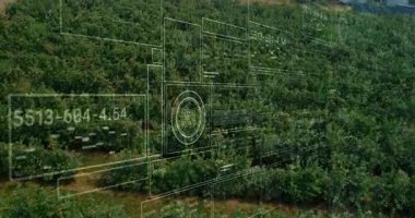 İnsansız hava aracı genişleyen meyve bahçesi sıralarını görüyor, şeffaf veri panelleri ve sayısal grafikleri gösteriyor. Tarım, hassas tarım, teknoloji, hava, modern, veri görselleştirme, kırsal