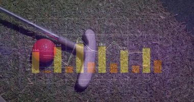 Metalik kriket sopası yeşil çimlerin üzerinde çapraz yatarken veri tabloları kırmızı topun etrafında canlanıyor. Teknoloji, spor, analitik, açık hava, modern, veri, eğlence