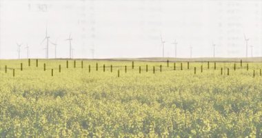 Çiftlik arazilerine yayılan kanola tarlası, düz dijital grafiğin arkasında dönen rüzgar türbinleri. Kırsal, peyzaj, tarım, yenilenebilir, teknoloji, çevre, verimlilik