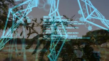 Sıcak güneş ışığı altında parlayan ağaç dalı yüzen 3D AR kablo, moleküler, dalga biçimi verilerini gösteriyor. Doğa, teknoloji, fütürizm, dijital, manzara, yenilik, huzur