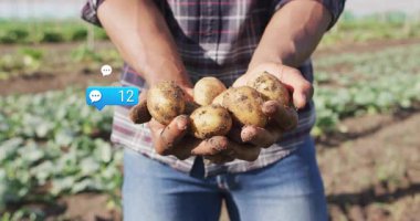 Tarımsal alanda elinde taze patateslerle gezen bir adam 47 yorum gösteriyor. Tarım, hasat, kırsal, açık hava, doğa, toplum, sürdürülebilirlik