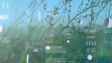 Sayısal veriler, kırsal arazinin üzerinde turta grafikleri, çubuk grafikleri ve çizgi grafiklerini gösteren animasyonlar oluşturur. Gelecekçi, analitik, teknoloji, yenilik, açık hava, görselleştirme, eko