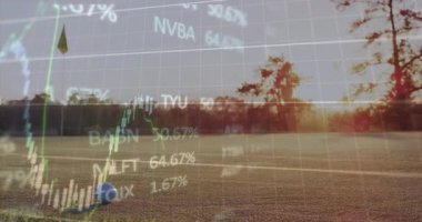 Spor sahasının üzerinde yüzen tenis topu, finans tablolarını kaplayan güneş ışığı. Atletik, yatırım, dijital, manzara, rekabetçi, enerjik, minimalizm