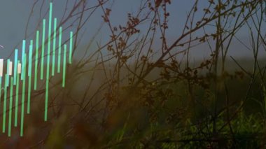 Sol tarafta çok renkli bar tablosu görselleştiriliyor, düz tasarımda kırsal çayır ile birleştiriliyor. Bilgi, analitik, kırsal, manzara, görselleştirme, veri, büyüme