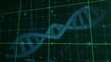 Dijital ekranda çift sarmallı DNA görselleştiriliyor, yeşil ızgara çizgileri ve yörünge eğrileri var. Fütürist, bilimsel, teknoloji, veri görselleştirme, moleküler, dijital arayüz, araştırma