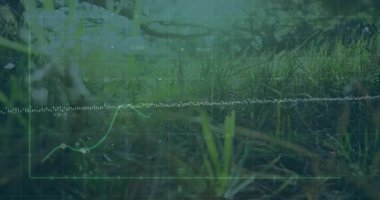 Şebeke ve sayısal noktalarla güneşli çayır sahnesinde yükselen saydam yeşil çizgi grafiği gösteriliyor. Veri görselleştirme, açık hava, doğa, analitik, büyüme, ekoloji, minimalizm