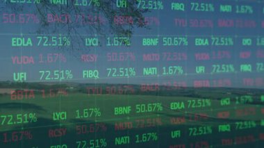 Kırsal tarım arazilerinde yeşil yüzde etiketli dijital hisse senedi kaplaması. Teknoloji, finans, kırsal, manzara, veri, yenilik, modern