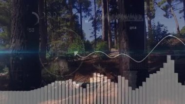 Orman açıklığında üç uzun çam gövdesi, şeffaf HUD örtülerini gösteriyor. Doğa, vahşi doğa, teknoloji, artırılmış gerçeklik, ekosistem, veri görselleştirme, açık hava