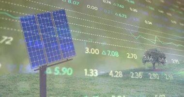 Çimenli alanda kutupta duran güneş paneli düz tasarımla yüzen sayısal verileri gösteriyor. Yenilenebilir, sürdürülebilirlik, teknoloji, yenilik, çevre dostu, dijital, manzara