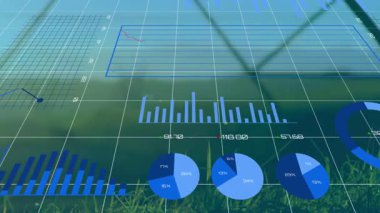 Çimlerin üzerinde yüzen dijital kaplama arayüzü çizgi grafiği, bar grafiği, oklu pasta grafiği. Teknoloji, analitik, yenilik, veri görselleştirme, açık hava, modern iş