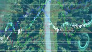 Orman tepe örtüsü, ağaçların arasından geçen yolu gösteren animasyon şamdan çizelgeleriyle kaplı. Doğa, veri görselleştirme, çevre analitikleri, büyüme, yatırım, dijital, teknoloji