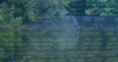 Forest Gölü 'nün üzerinde yüzen yarı saydam finansal örtüler çizelgeler, şebekeler, kalp işaretleri gösteriyor. Doğa, finans, veri görselleştirme, sükunet, ekosistem, yatırım, analitik