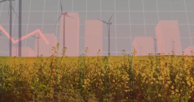 Kanola alanı pembe çubuklarla birleşiyor ve rüzgar türbinleri ızgaranın üzerinde yükselirken kırmızı çizgiler çiziliyor. Tarım, yenilenebilir, sürdürülebilirlik, çevre, arazi, bilgi, enerji