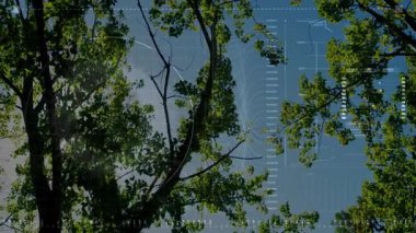 Güneşli ağaç tepe örtüsünü, ızgaraları, daire çizelgeleri ve teknoloji için sayısal ölçekleri araştıran izleyici. Doğa, gölgelik, dijital, arayüz, görselleştirme, açık hava, ekosistem