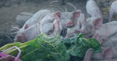 Çiftlik hayvanları gözlemi 3 boyutlu olarak canlandırılıyor, domuzcuklar HUD kaplamaları altında yeşil yaprakları kemiriyor. Çiftçilik, tarım, hayvancılık, dijital, teknoloji, sürdürülebilirlik, veterinerlik