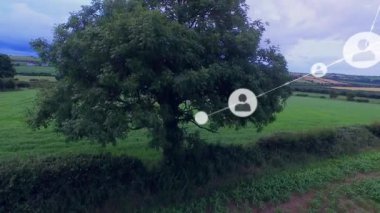 Kırsal alanda şeffaf ağ düğümleri ve bağlama çizgileri ile merkezi yeşil ağaç örtülmüş. Peyzaj, bağlantı, teknoloji, doğa, veri, ağ, kırsal