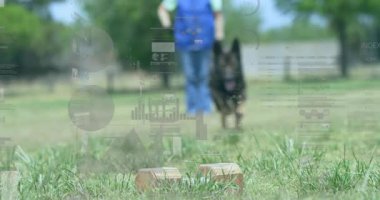 Köpek eğitim alanında bloklara doğru koşuyor, yüzen çizelgelerle evcil hayvan eğitim teknolojisi sergiliyor. Köpek, açık hava, analitik, fitness, simülasyon, görselleştirme, manzara