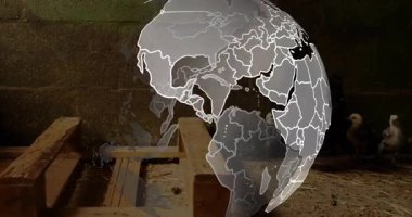 Saman yataklarının üzerinde süzülen saydam küre anne tavuğun yavrularının yanında kablo çerçevesi kıtaları gösteriyor. Çiftlik, kuş, doğa, ekoloji, çevre, sürdürülebilirlik, kırsal