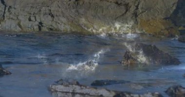 Orta büyüklükteki koyu renkli kayalar suda parlıyor. Dalgalar yavaşça tabanında geziniyor. Düz dizayn animasyonu. Sahil şeridi, gelgitler, deniz manzarası, doğa, sükunet, engebeli, deniz manzarası.