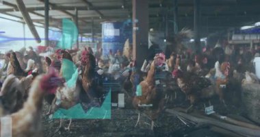 Kahverengi tavuklar ahırda yürür ve gagalarlar, dijital izleme çizelgelerini düz tasarımda gösterirler. Tarım, çiftlik hayvanları, kümes hayvanları, ahır, yenilik, otomasyon, izleme