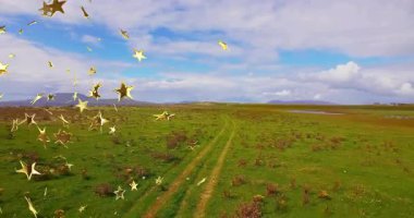 Çimenli ovalarda dolanan düz dizayn toprak pist, kır çiçekleri, su birikintileri ve altın yıldızlarla kaplı. Doğa, manzara, dinginlik, macera, minimalizm, açık hava, keşif