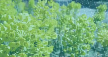 Şehir bahçesinde oturan sarı-yeşil çiçek kümesi, eğitim için el yazısıyla yazılmış matematik ızgarasını örtüyor. Botanik, eğitim, modern, kentsel, doğa, kavramsal, bilimsel