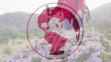 Tepedeki mor papatyaların arasında diz çöküp kırmızı dünya teknolojisi animasyonunu sergileyen kadın yürüyüşçü. Doğa, macera, keşif, açık hava, yürüyüş, manzara, refah