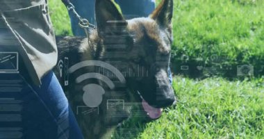 Alman çoban köpeği otlak sahibinin yanında soluk soluğa, hayvan sağlığı grafikleri ve ikonları gösteriyor. Köpek, sadakat, açık hava, canlılık, arkadaşlık, fitness