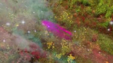 Yeşil çayır boyunca dönen pembe mor deniz mavisi sisi, 3D renkle dans eden parıldayan yıldız parıltıları. Ruhsal, gerçeküstü, kozmik, enerjik, soyut, fantezi, rüya gibi